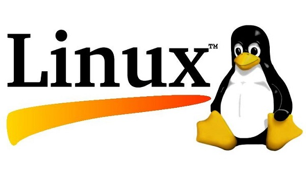 这些常用的Linux命令，让Linux新手快速上手