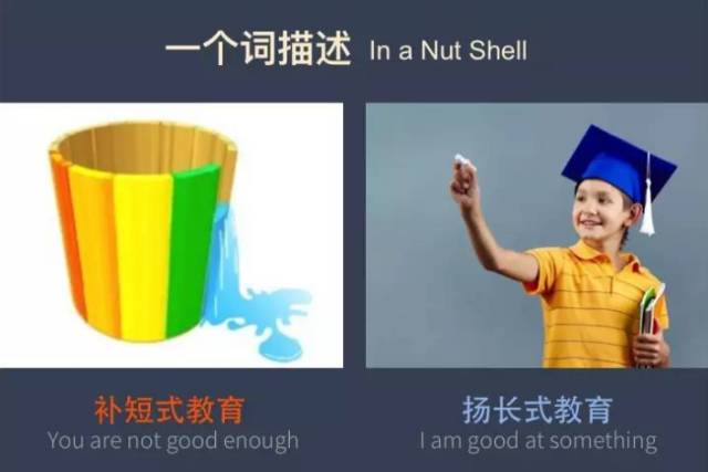 中西方教育对比